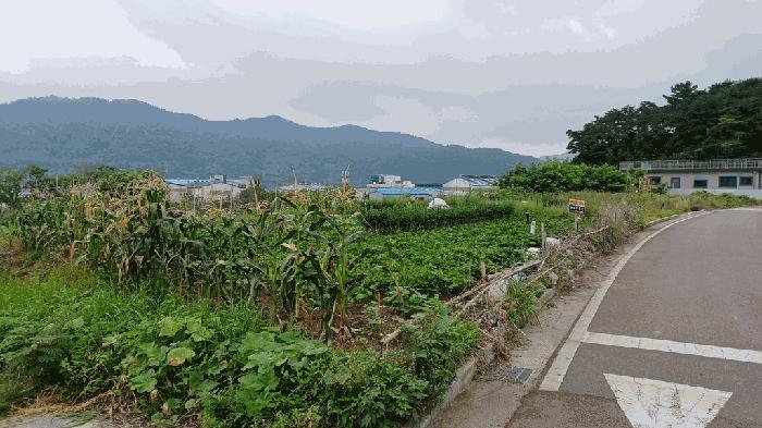 전라남도 광양시 진월면 신아리 210-1 답 경매 사진 7