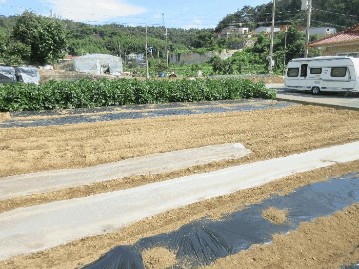 전라남도 여수시 율촌면 월산리 1475-6 대지 경매 사진 4