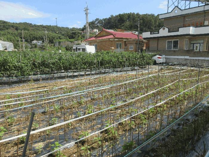 전라남도 여수시 율촌면 월산리 1475-6 대지 경매 사진 8