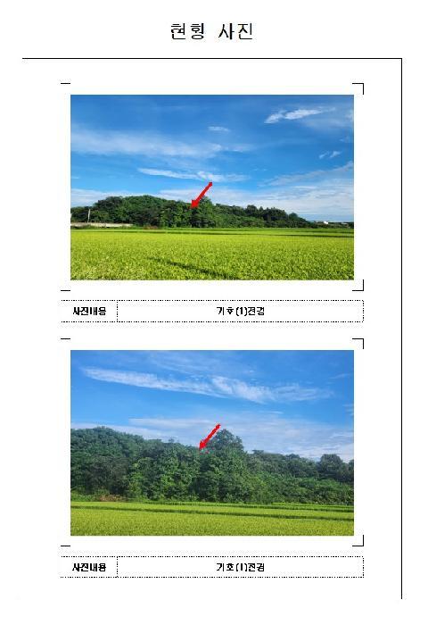 전라남도 영암군 시종면 구산리 산30 임야 경매 사진 3