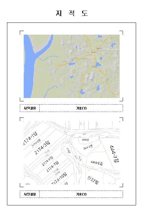 전라남도 영암군 시종면 구산리 산30 임야 경매 사진 6