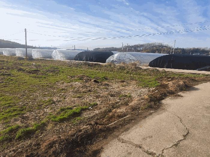 전북특별자치도 익산시 삼기면 기산리 920-1 답 경매 사진 3