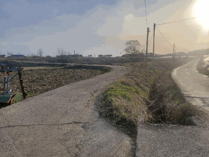 전북특별자치도 익산시 삼기면 기산리 142-4 답 경매 사진 7