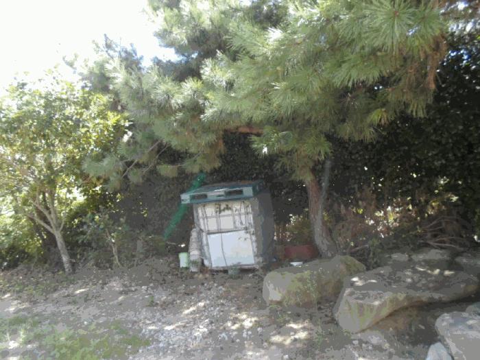 전라남도 완도군 완도읍 죽청리 2 양어장 경매 사진 14
