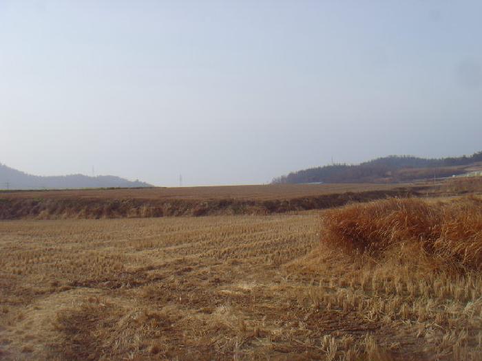 전라남도 해남군 황산면 원호리 771 전 경매 사진 5