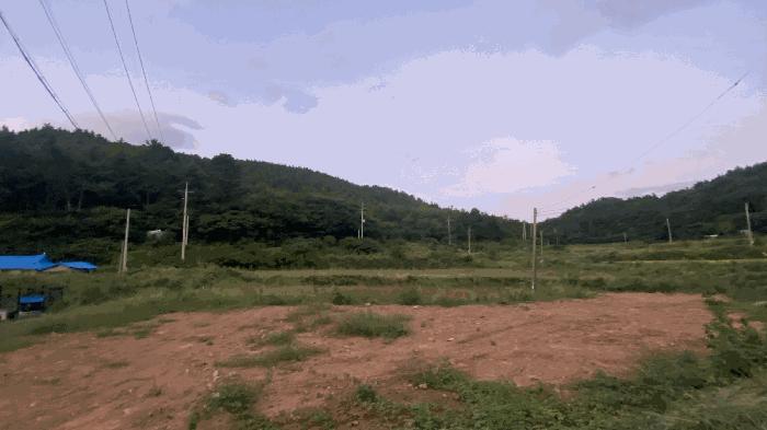 전라남도 완도군 신지면 대곡리 1310 전 경매 사진 5