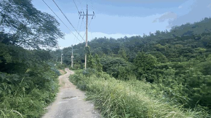 전남 완도군 신지면 대곡리 1300 답 경매 물건 사진