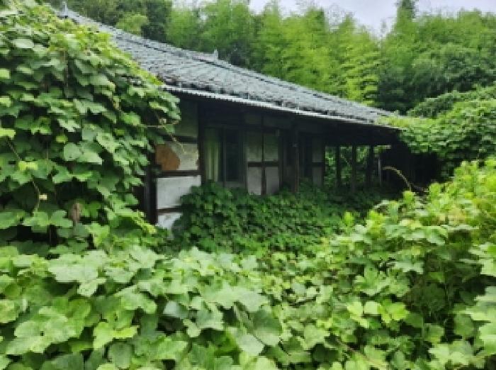 전북특별자치도 부안군 행안면 역리 556 주택 경매 사진 12