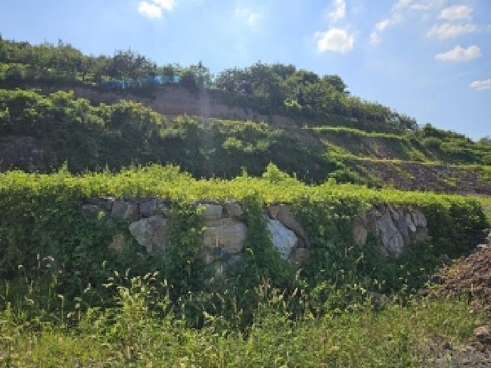 경상남도 진주시 문산읍 두산리 1005-13 과수원 경매 사진 14