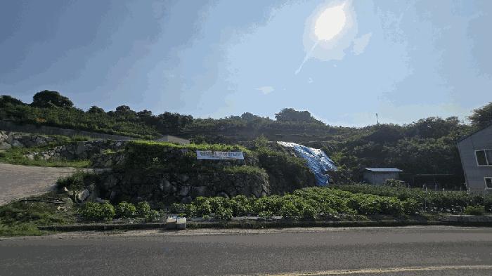 경상남도 진주시 문산읍 두산리 1005-13 과수원 경매 사진 3