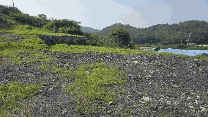 경상남도 진주시 문산읍 두산리 1005-13 과수원 경매 사진 7