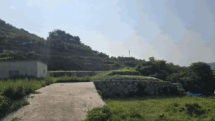 경상남도 진주시 문산읍 두산리 1005-13 과수원 경매 사진 9