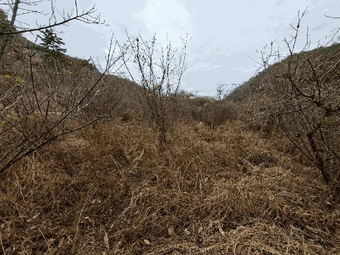 경상남도 진주시 진성면 구천리 368 답 경매 사진 2