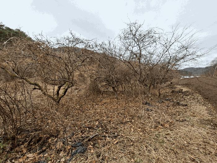 경상남도 진주시 문산읍 갈곡리 644 답 경매 사진 5