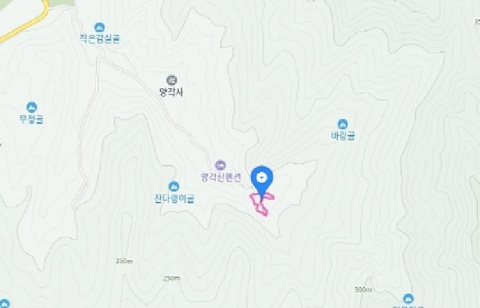 충청남도 금산군 부리면 수통리 21 답 경매 사진 21
