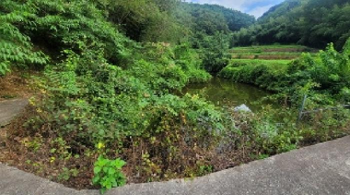 경상남도 의령군 지정면 득소리 640 전 경매 사진 35