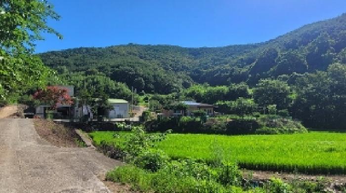 경상남도 의령군 지정면 득소리 645 전 경매 사진 40