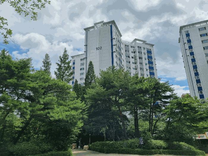 경상북도 포항시 남구 대잠동 971-1 대지 경매 사진 2