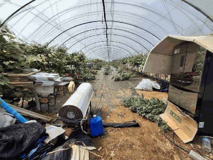 전북특별자치도 고창군 해리면 라성리 1402 답 경매 사진 7