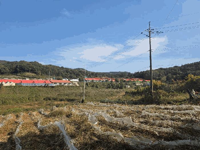 전북특별자치도 고창군 심원면 궁산리 8 전 경매 사진 1