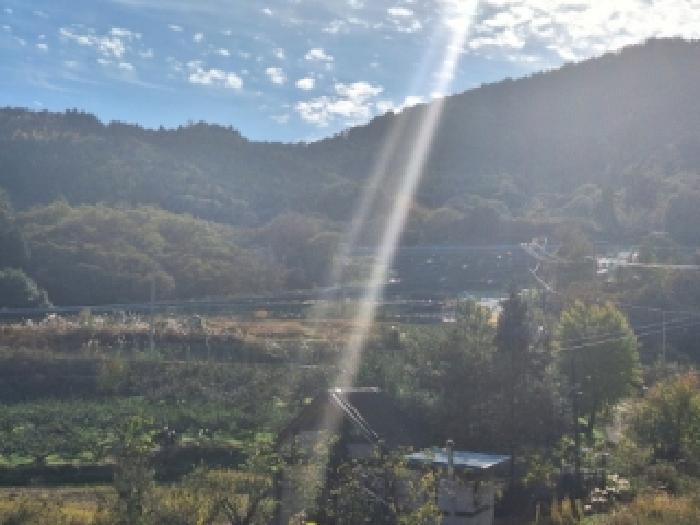 전라남도 순천시 승주읍 구강리 895-28 임야 경매 사진 5