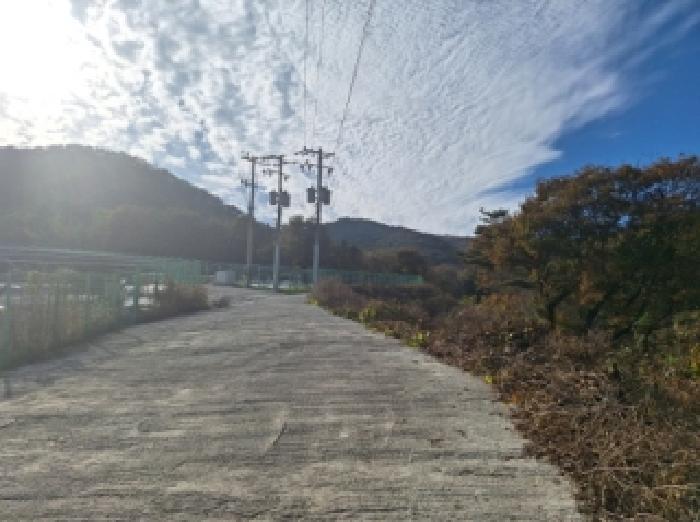 전라남도 순천시 승주읍 구강리 895-28 임야 경매 사진 6