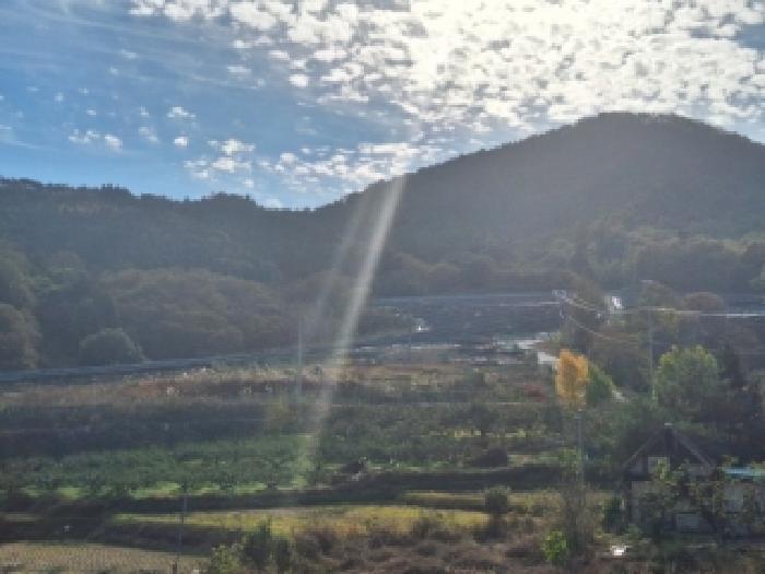 전라남도 순천시 승주읍 구강리 895-35 임야 경매 사진 3
