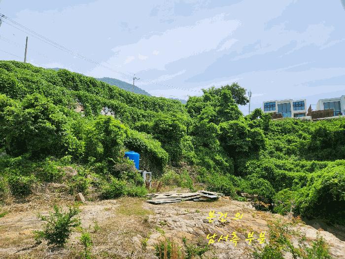 경상남도 남해군 서면 작장리 200-2 답 경매 사진 10