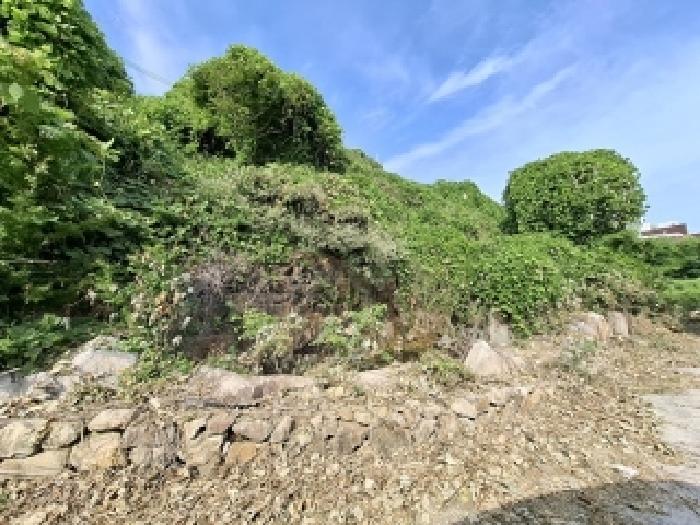 경상남도 남해군 서면 작장리 200-2 답 경매 사진 11