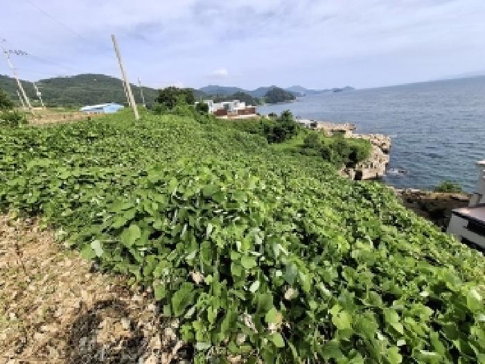 경상남도 남해군 서면 작장리 200-2 답 경매 사진 14