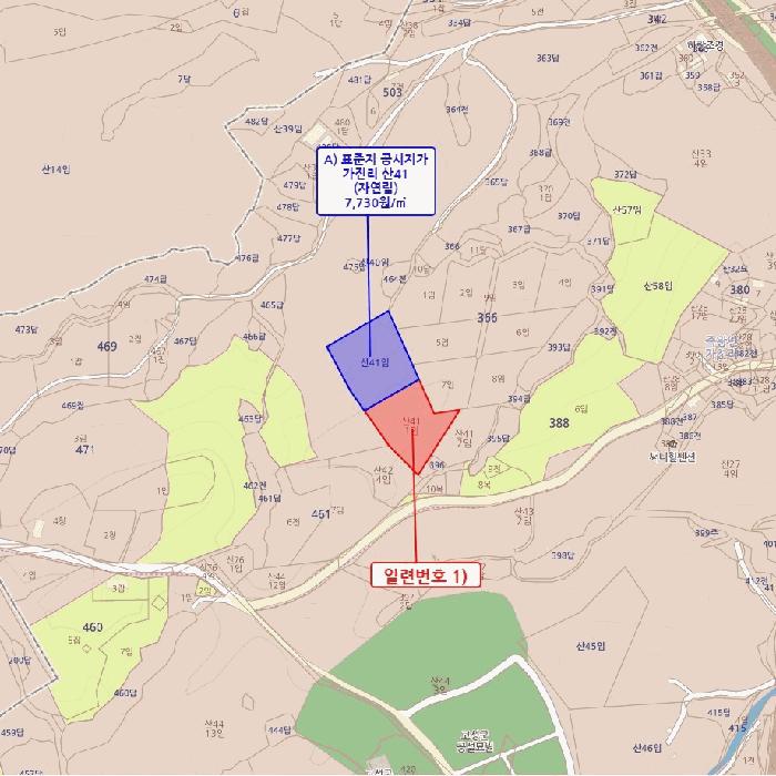 강원특별자치도 고성군 죽왕면 가진리 산41-1 임야 경매 사진 4