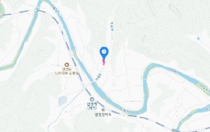 대전광역시 서구 원정동 243-1 하천 경매 사진 18
