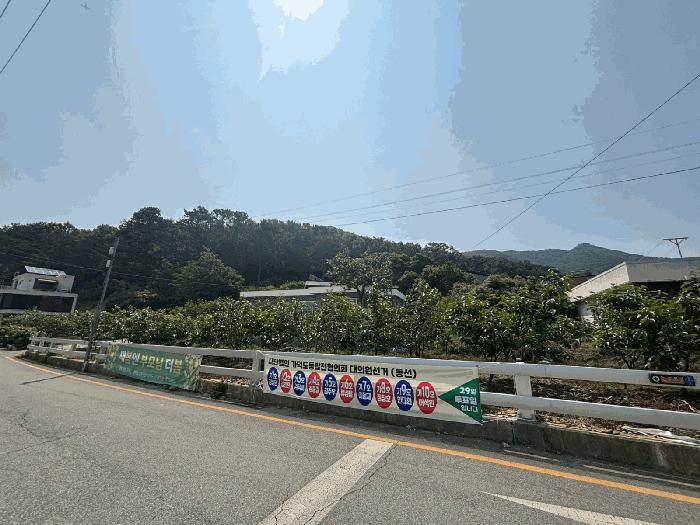 부산광역시 강서구 동선동 177 대지 경매 사진 4