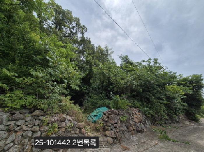 부산광역시 강서구 동선동 177 대지 경매 사진 7