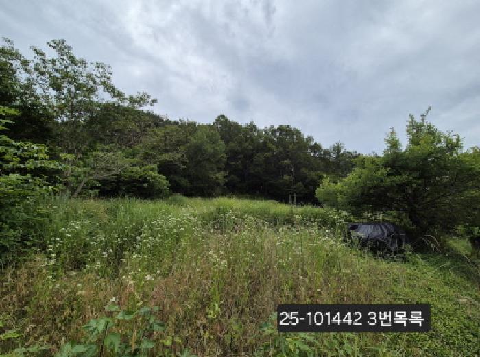 부산광역시 강서구 동선동 177 대지 경매 사진 9