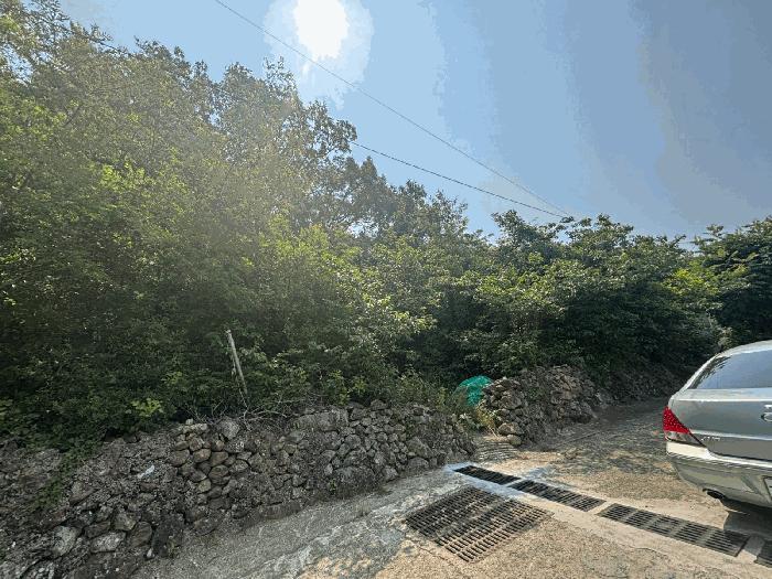 부산광역시 강서구 동선동 179 대지 경매 사진 1