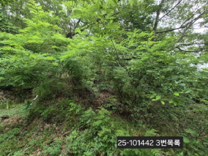 부산광역시 강서구 동선동 179 대지 경매 사진 10