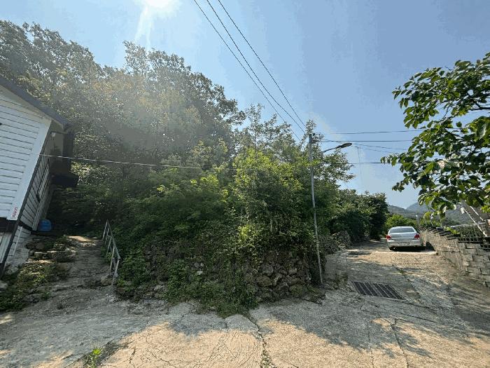 부산광역시 강서구 동선동 179 대지 경매 사진 3