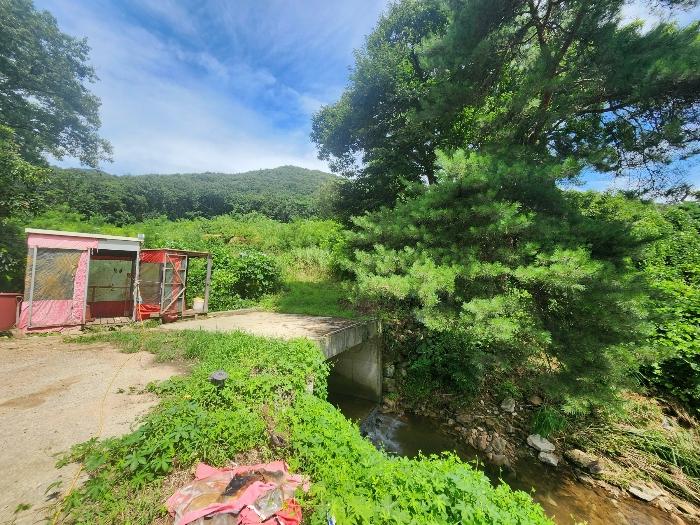 인천광역시 강화군 불은면 삼성리 산136 임야 경매 사진 6