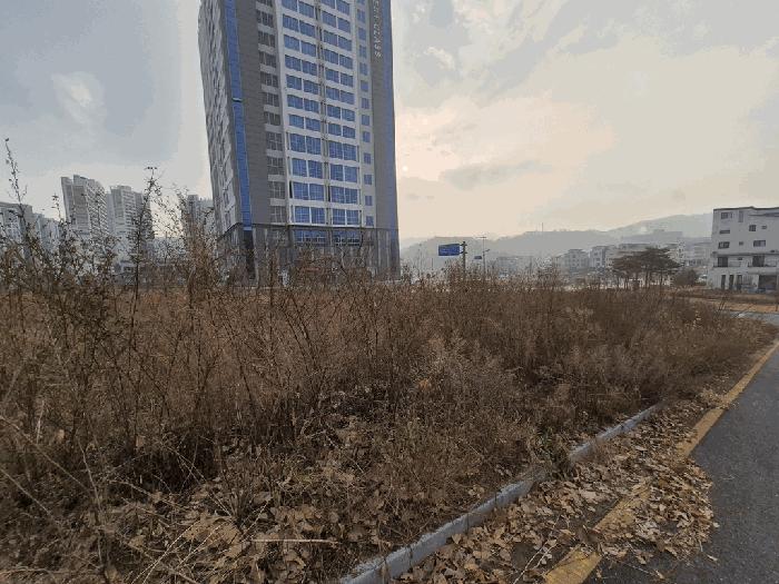 대전광역시 유성구 둔곡동 424-4 대지 경매 사진 2