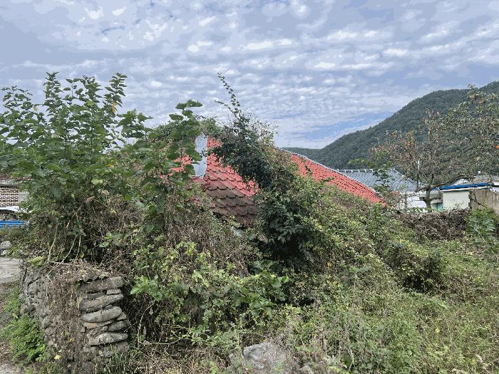 경상남도 의령군 궁류면 평촌리 504-11 대지 경매 사진 4