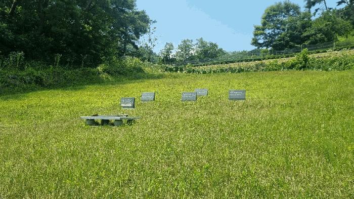 경상남도 거창군 마리면 대동리 1068 전 경매 사진 1