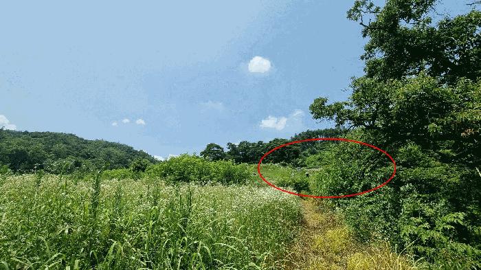 경상남도 거창군 마리면 대동리 1068 전 경매 사진 5