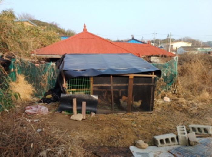 인천광역시 옹진군 덕적면 소야리 156 주택 경매 사진 10