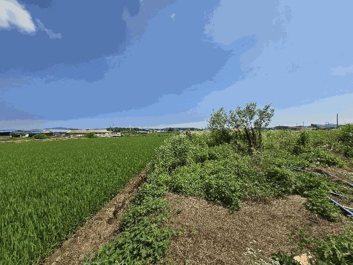 충청남도 천안시 서북구 성환읍 수향리 420-1 공장 경매 사진 19