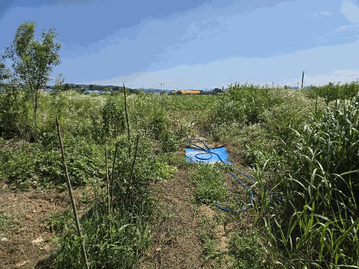 충청남도 천안시 서북구 성환읍 수향리 420-1 공장 경매 사진 5