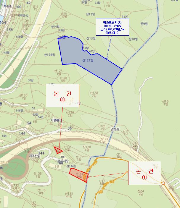 경상북도 포항시 북구 흥해읍 대련리 산133-11 임야 경매 사진 17