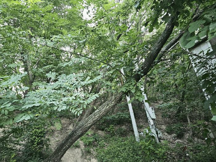 경상북도 포항시 북구 흥해읍 대련리 산133-11 임야 경매 사진 8
