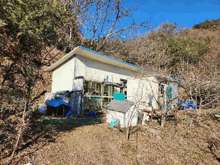 전라남도 광양시 진상면 섬거리 산33-1 답 경매 사진 13
