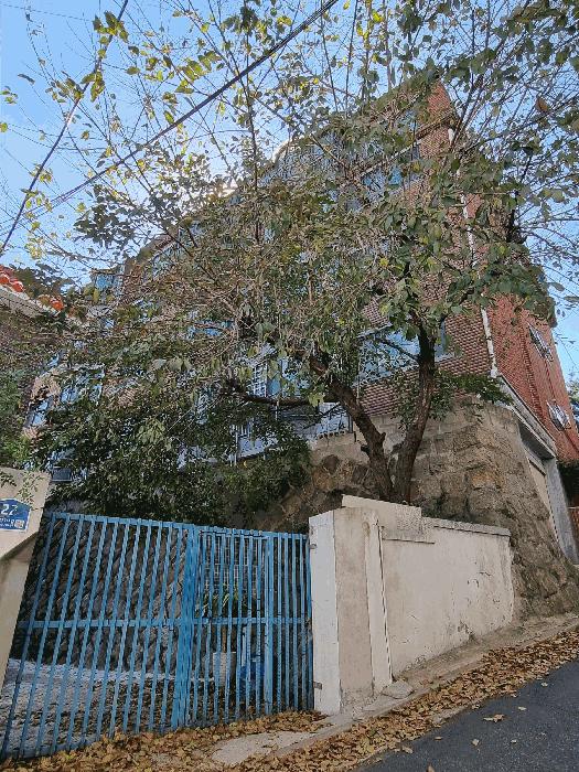 서울특별시 용산구 원효로1가 17-208 1층103호 다세대(빌라) 경매 사진 12